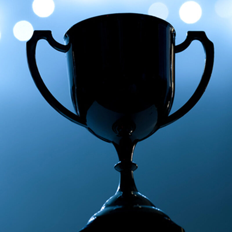 https://www.coloursofoblu.com/wp-content/uploads/2026/01/awards-aspect-ratio-800-800.jpg